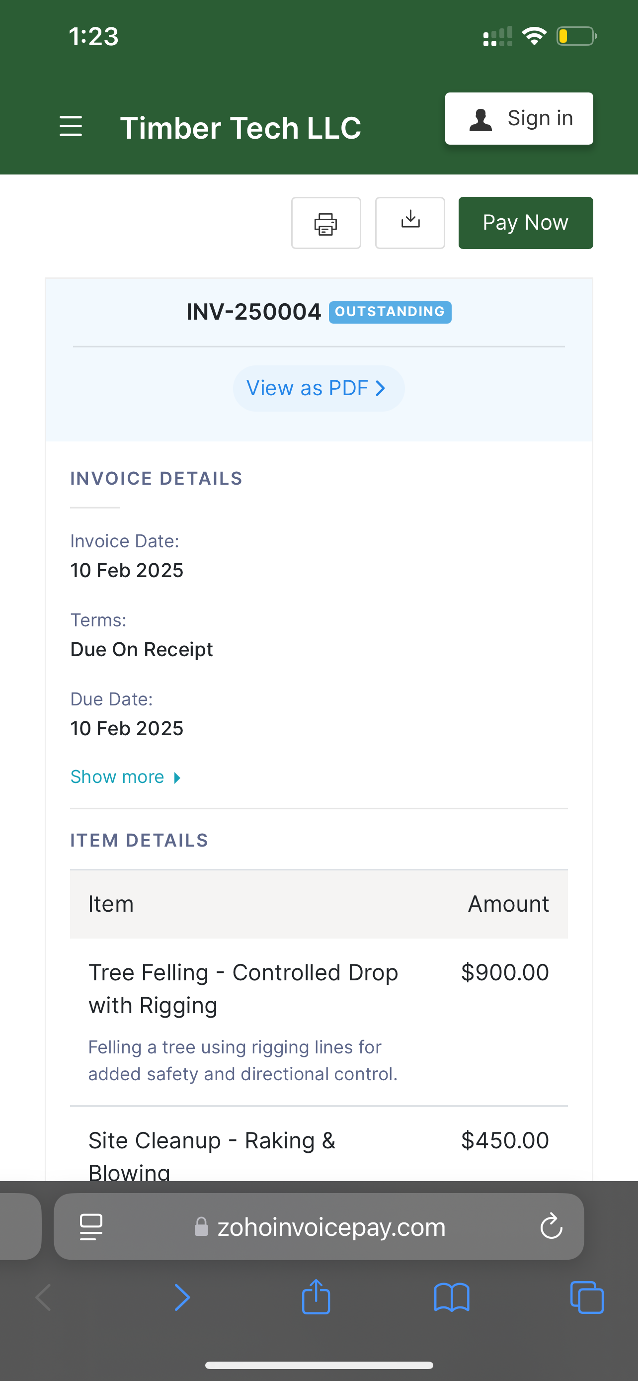 Invoice View in Browser